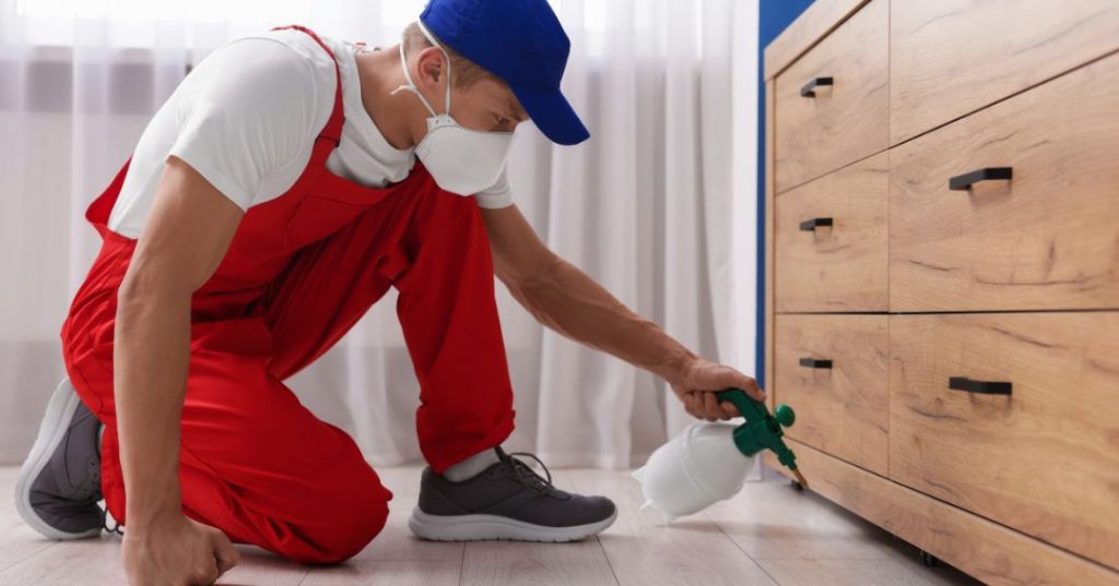 capa dedetizacao em Limeira